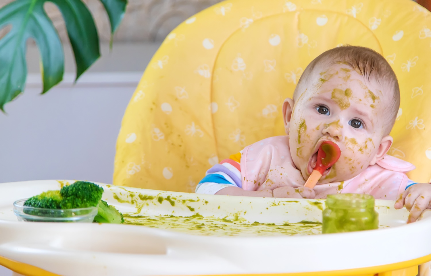bimbo tutto sporco di pappa